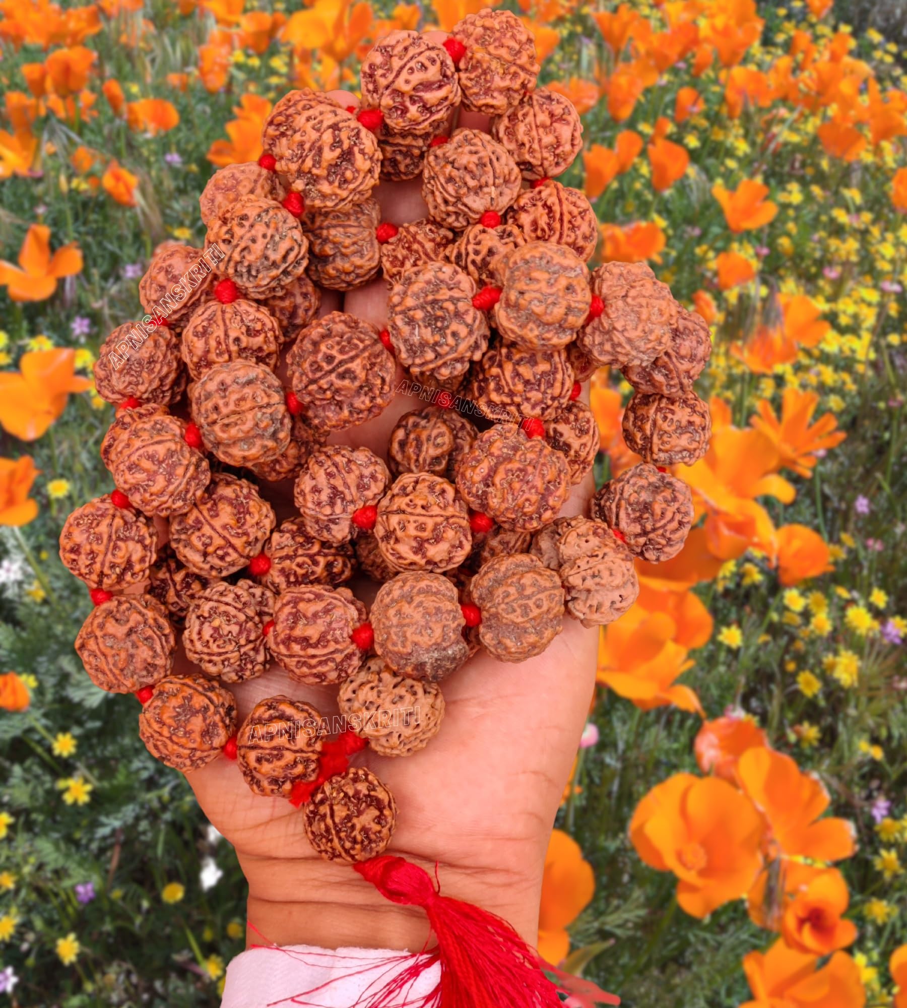 5 Mukhi Rudraksha Mala - Natural & Lab Certified -2