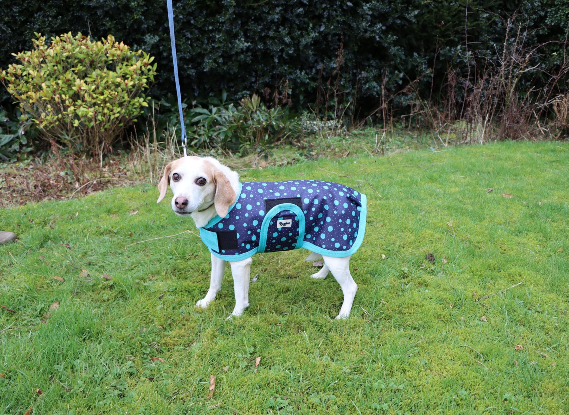 Ruggles Waterproof Dog Coat - Breathable, fleece lined dog rain jacket (Aqua Spots, 28")