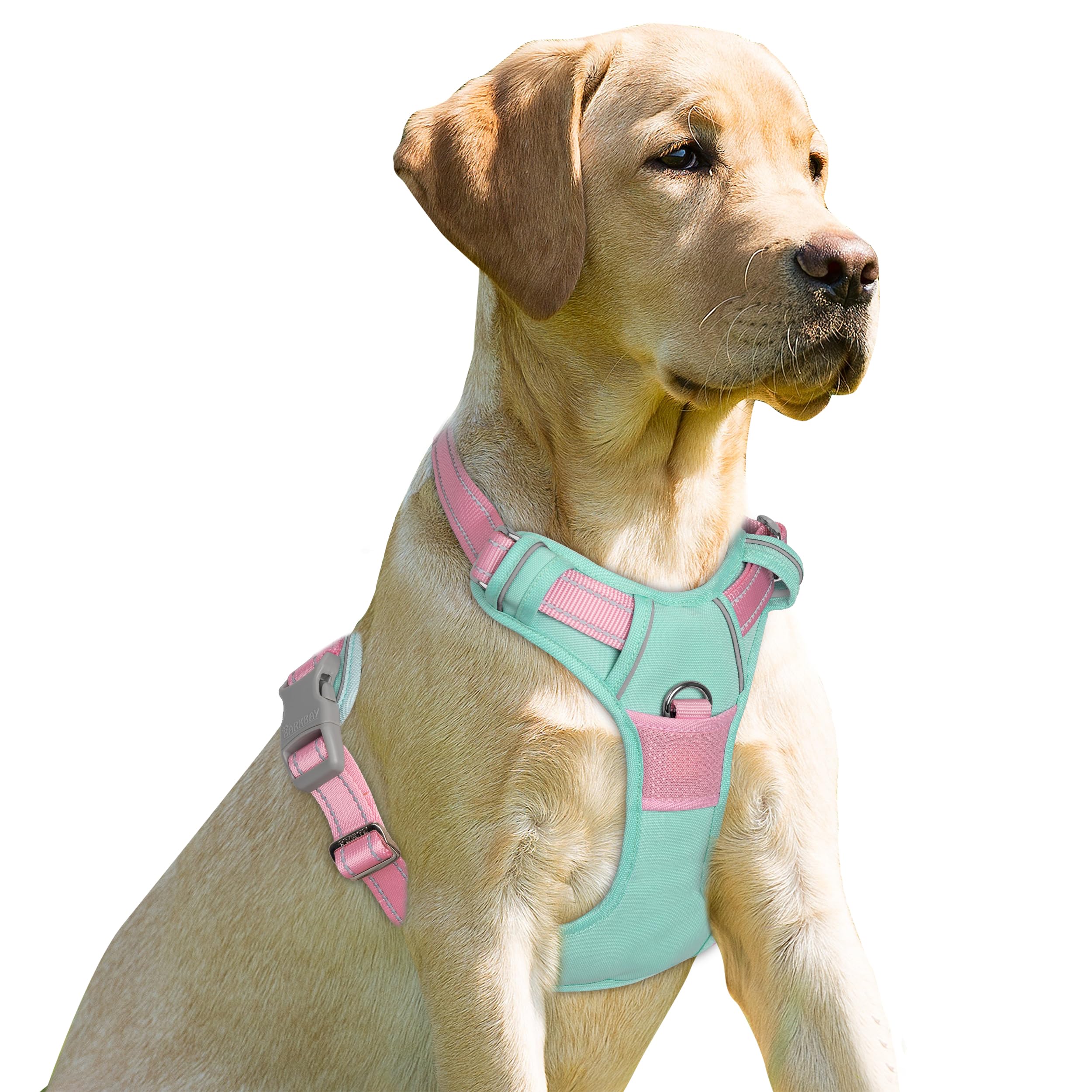 BARKBAY No Pull Dog Harness Front Clip Heavy Duty Reflective Easy Control Handle for Large Dog Walking(Cool Mint & Baby Pink,L) โ image 1