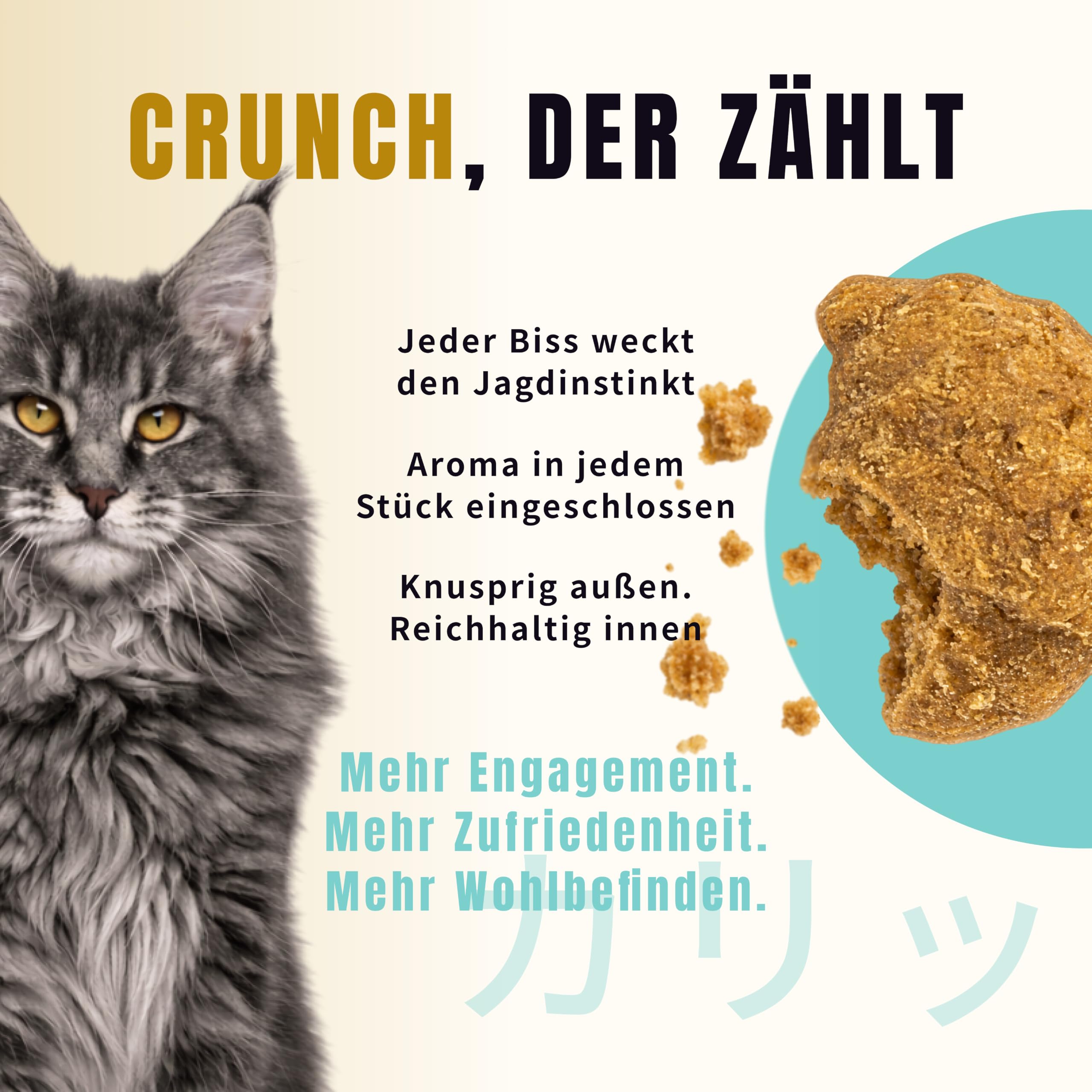 Ofengebackenes Katzenfutter Trocken Hähnchen mit Kolostrum Erwachsene 2kg