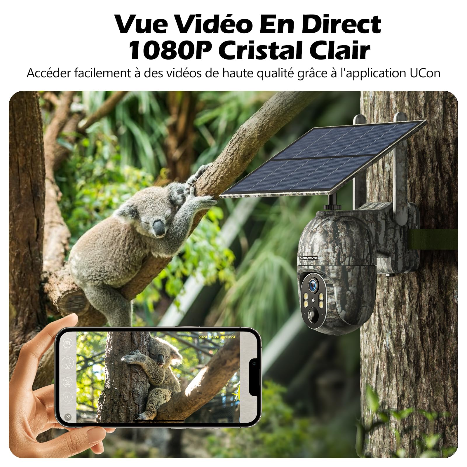 TELECAMERA DA CACCIA telecamera da caccia telecamere utili professionali trail foresta molto