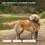Ver la foto 3