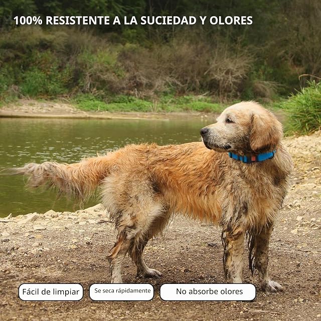 Foto 3 de 6 de CollarDirect Adjustable Dog Collar Colorful Waterproof Nylon Pet Collars for Small Medium Large Dogs Puppy…