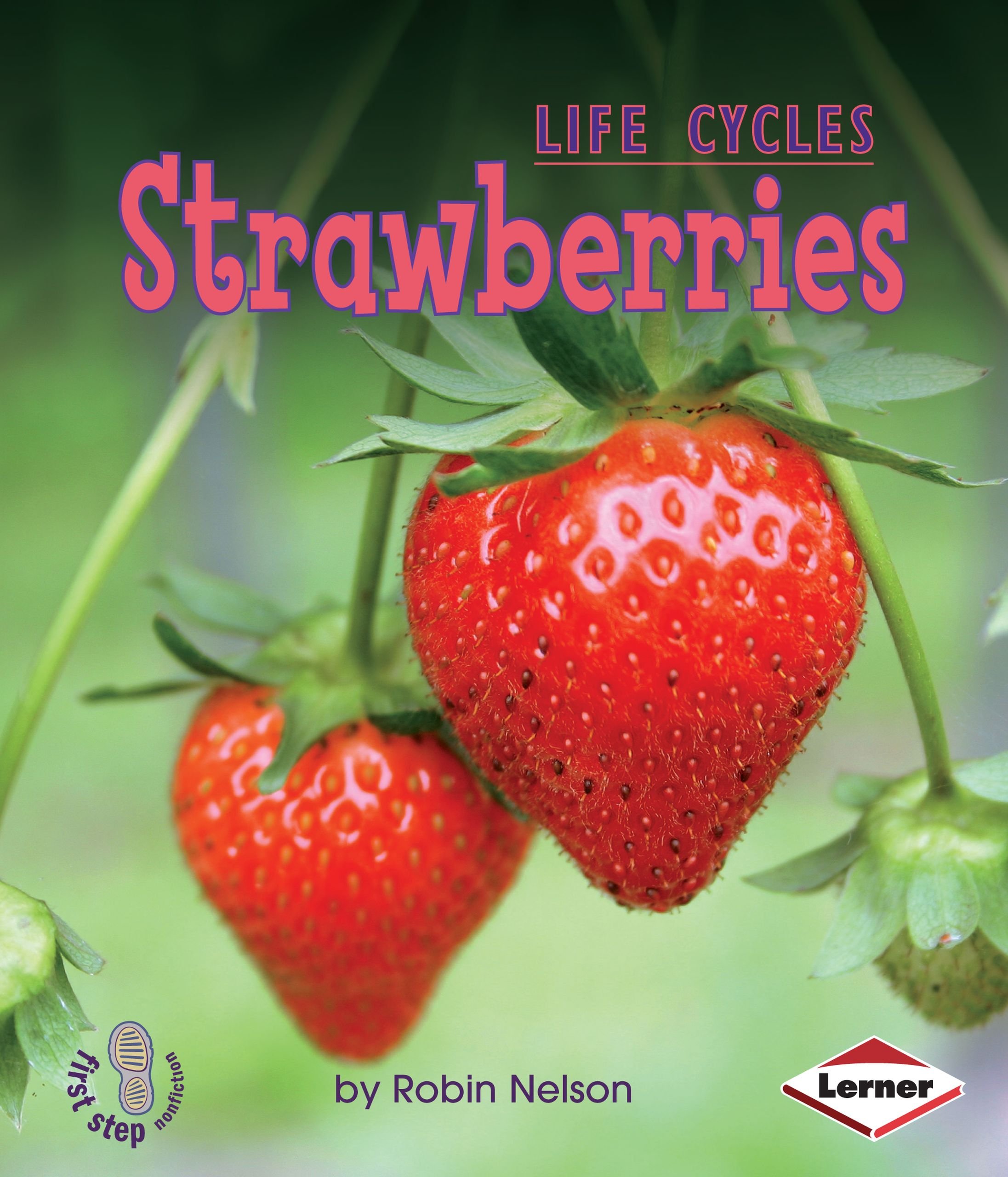 Strawberries (First Step Nonfiction: Plant Life Cycles)