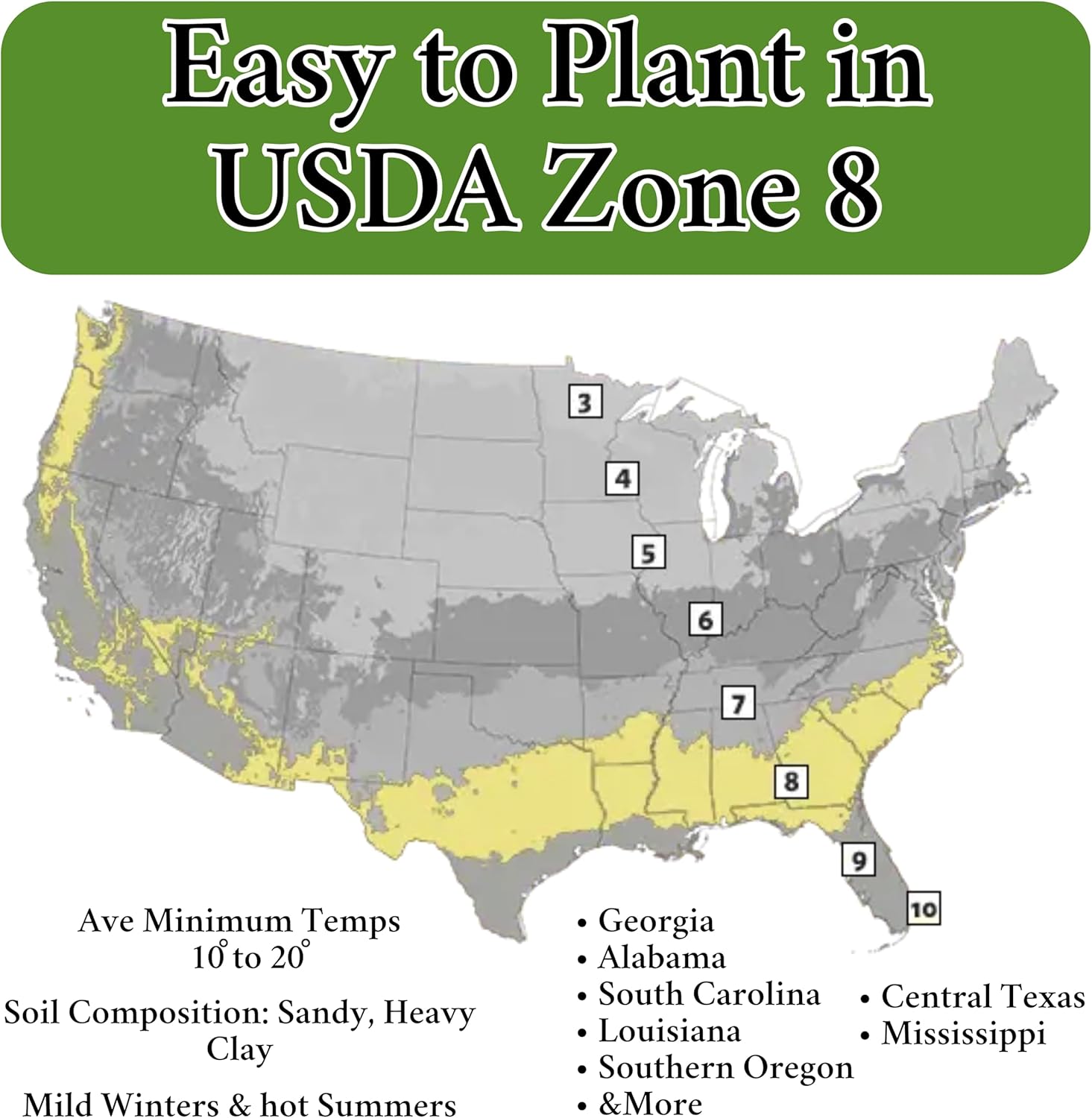 B&KM Farms Regional Garden Starter Kit – 37 Heirloom Varieties, 36,000+ Seeds – Non-GMO Vegetable & Herb Seeds for Deep South & Warm Coastal Climates – Ideal for Beginners & Experts (USDA Zone 8)