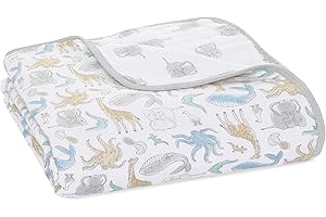 aden + anais essentials Dream Blanket