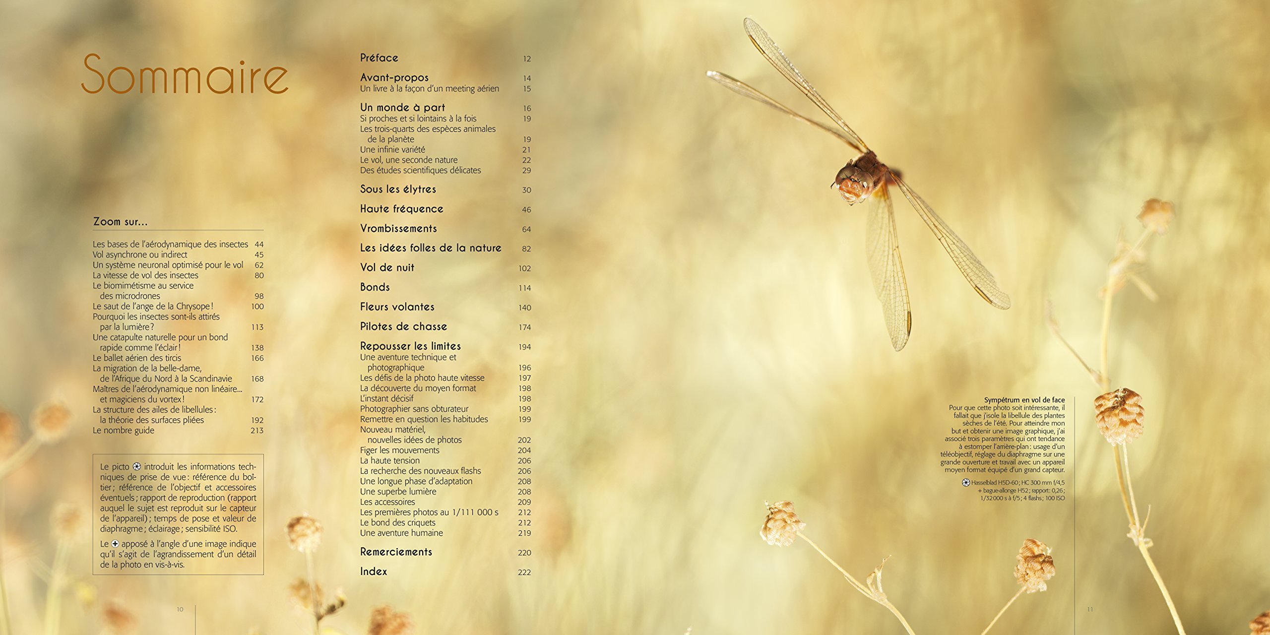 Speed flyers: Le vol des insectes révélé