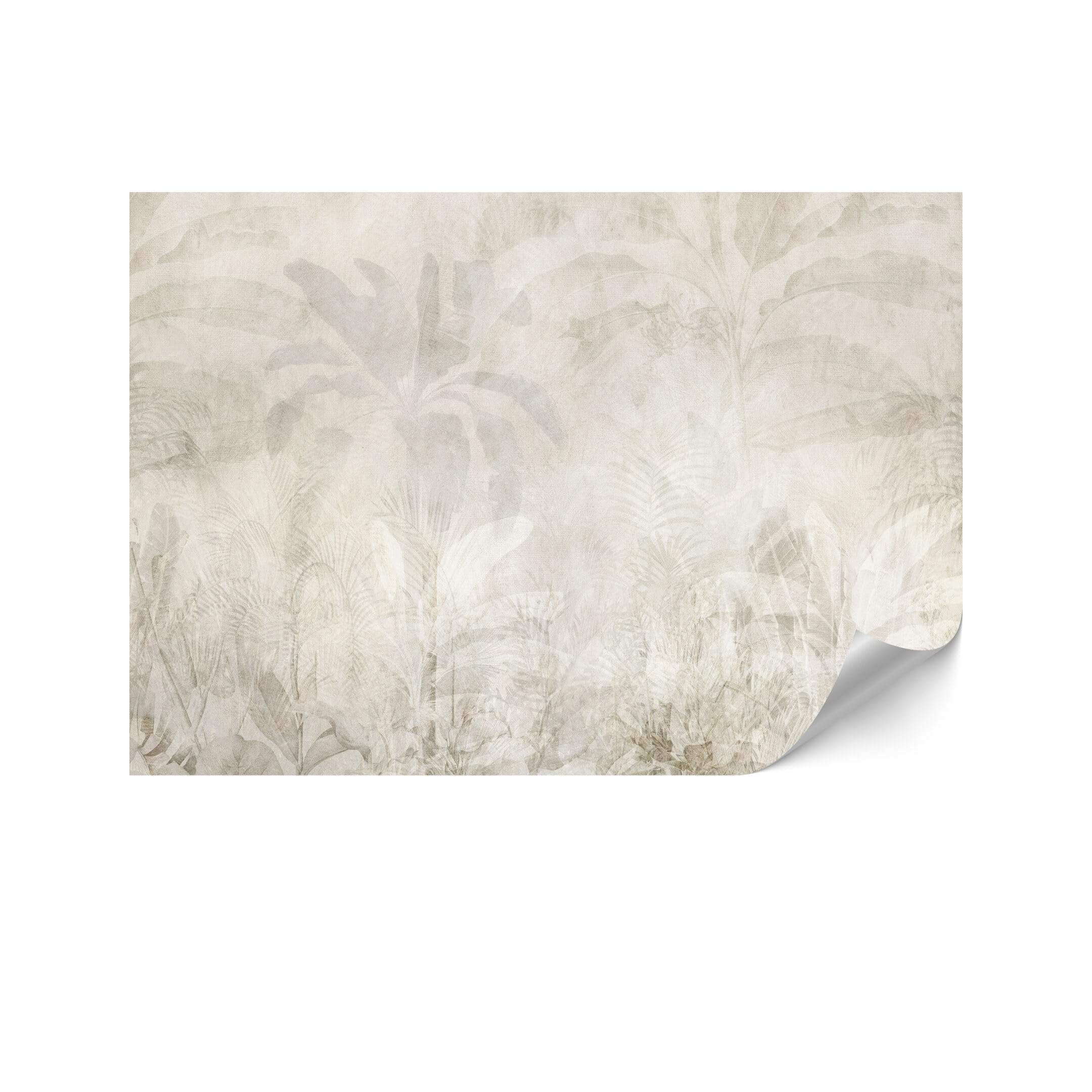 Carta da Parati 500x350 cm - Carta da Parati Camera da Letto Natura - Panelli da Parete Moderne - Panelli Murali di Alta Qualità Facili da installare - Beige e Crema