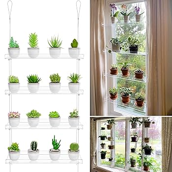 kuroyagiさん　オーダー品　植物棚 楽天市場】セミオーダー植物棚 アガベラック 塊根ラック 育成