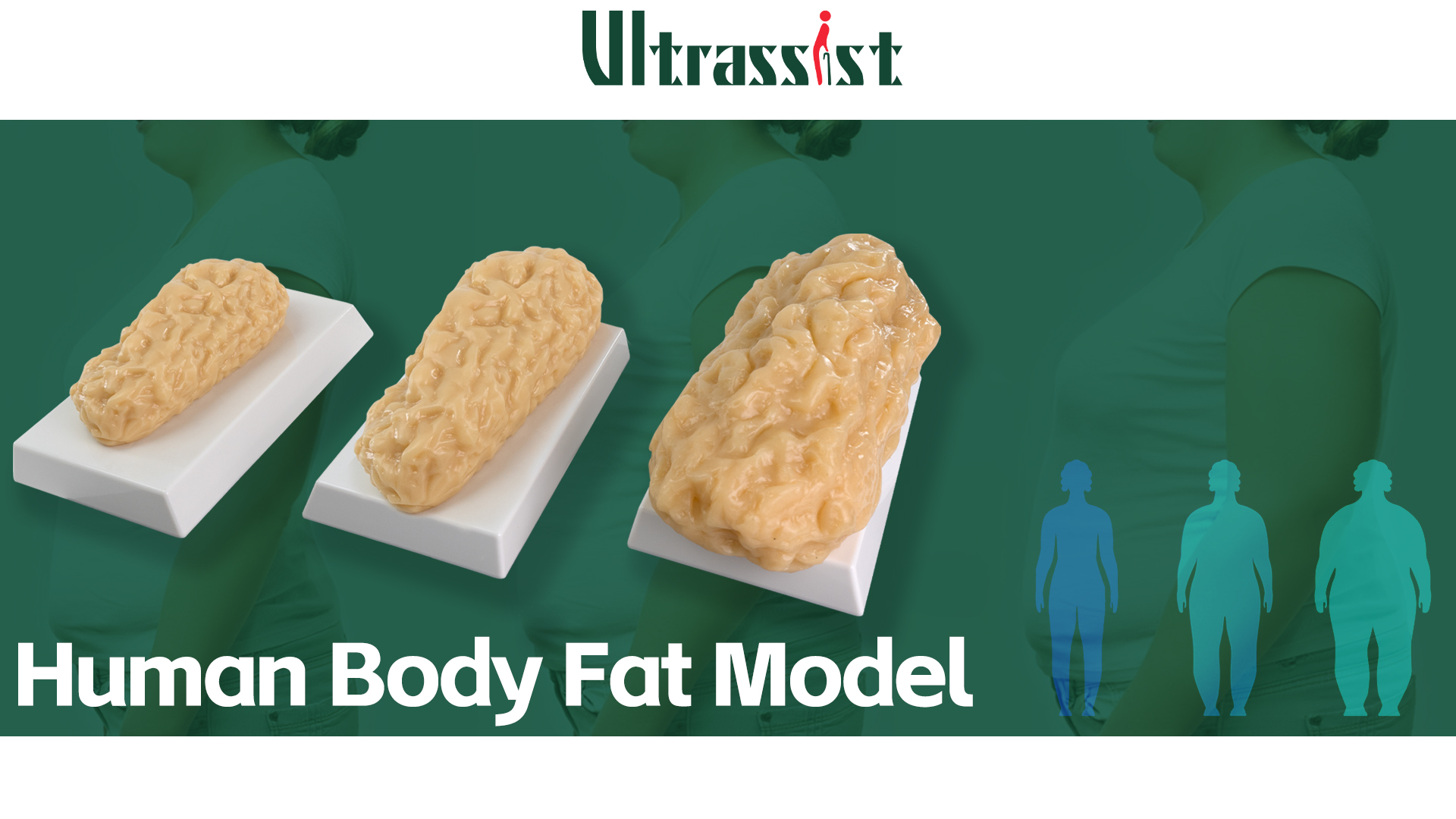 脂肪　模型　3kg イワイサンプル 脂肪の塊(3kg) SI-030 1個 24-4514-03（直送品