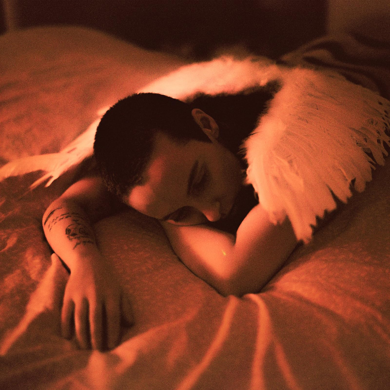 Midnight Butterflies [VINYL]