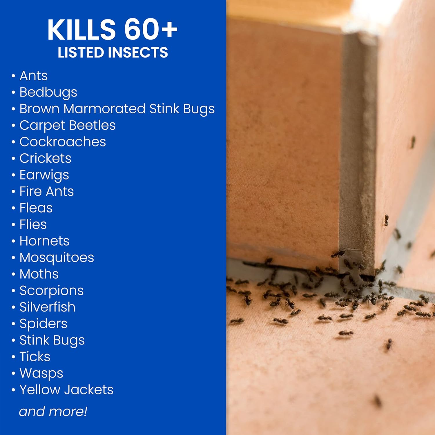 BioAdvanced Home Pest Germ Killer Indoor & Outdoor Insect Killer, Ready-to-Use, 24 oz