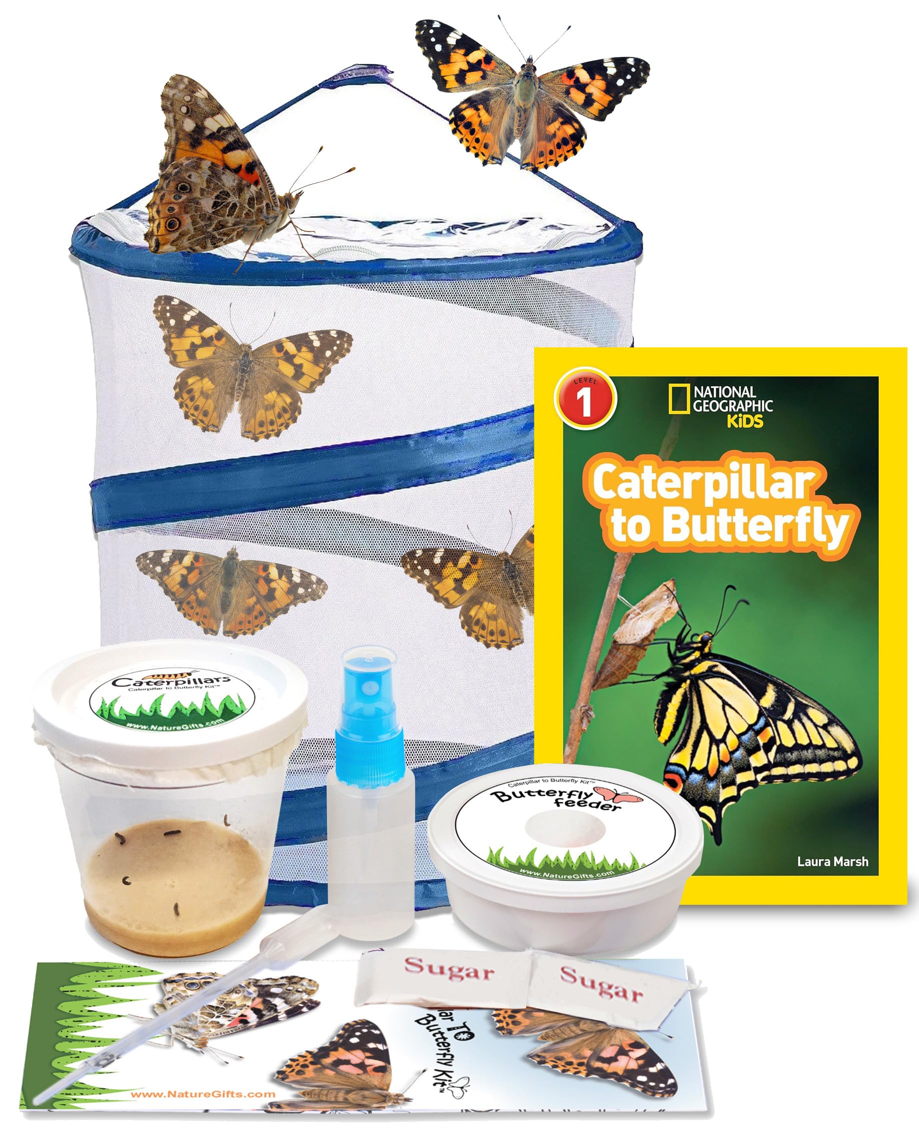 Amazon.com: Live Butterfly Growing Complete Kit - Includes 5 Live