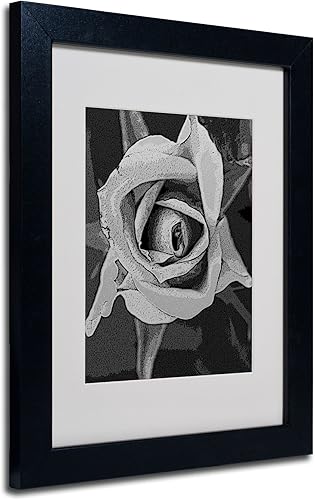 Trademark Fine Art Patty Tuggle - Arte enmarcado de rosas blancas y negras con marco negro, 11 x 14 pulgadas