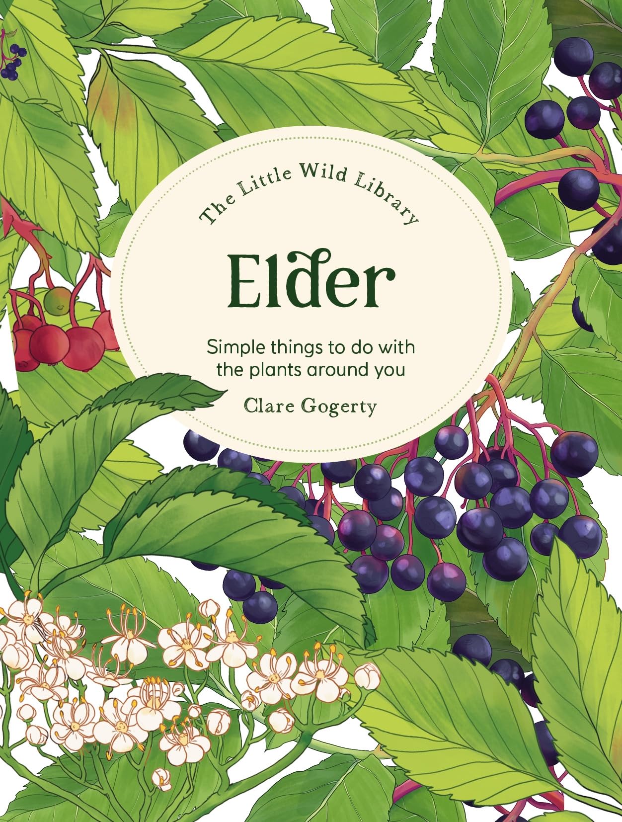 The Little Wild Library: Elder by Clare Gogerty - 9781446313749