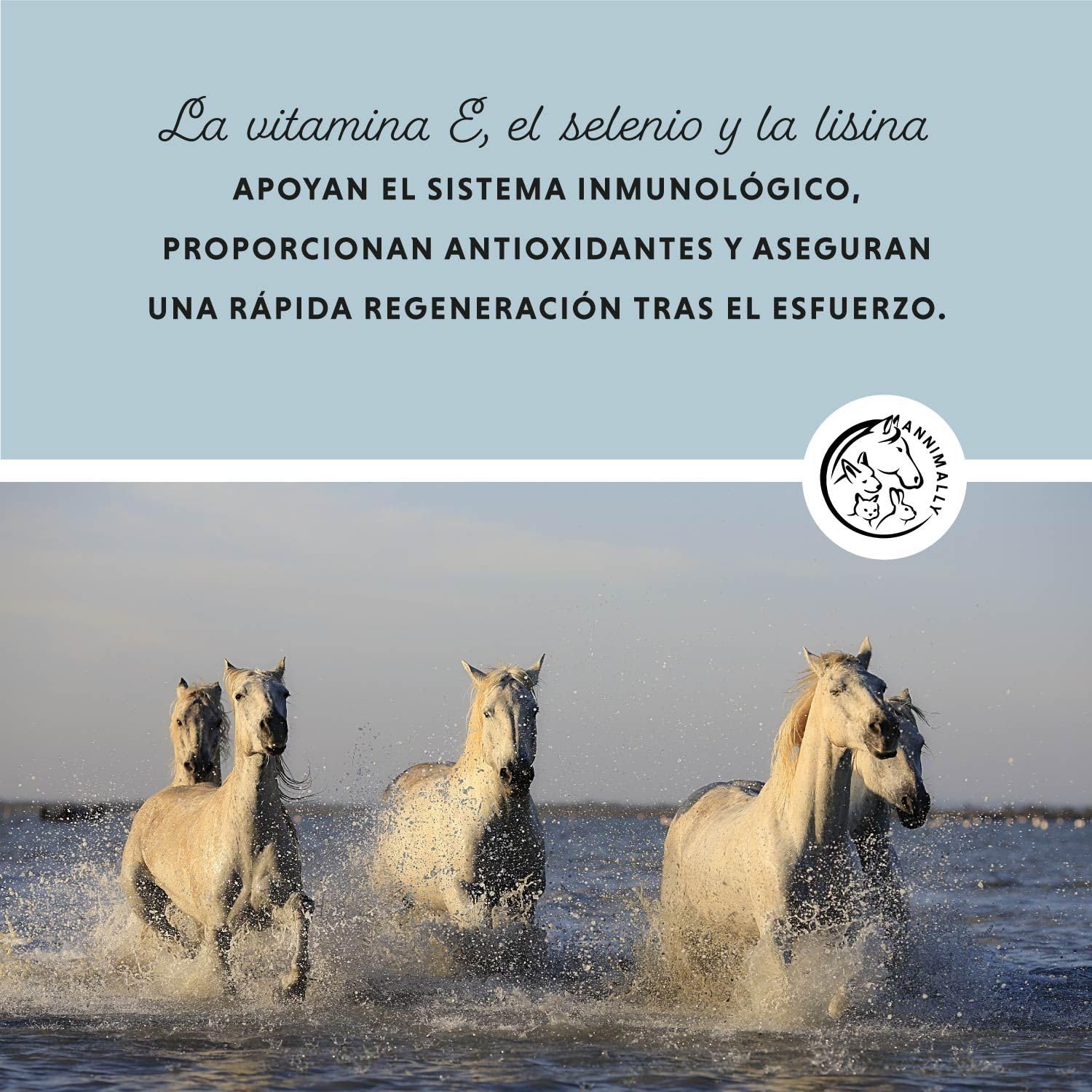 Annimally Selenio, Vitamina E, L-Lisina en Polvo para Caballos 800g - Complejo de Vitamina E, L-Lisina y Selenio para apoyar la Musculatura y el Rendimiento - Suplemento alimenticio para Caballos