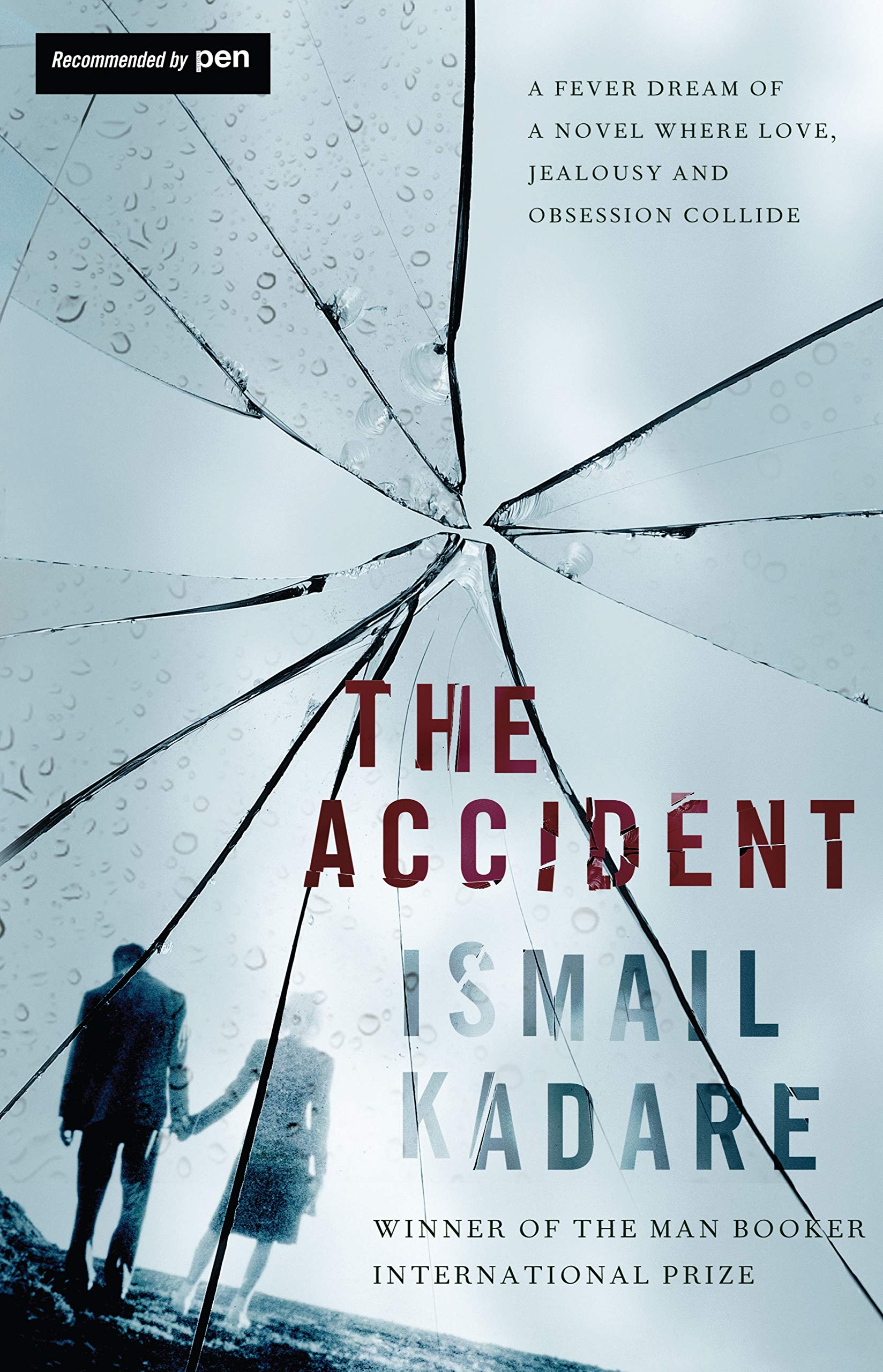 The Accident By Ismail Kadare, John Hodgson