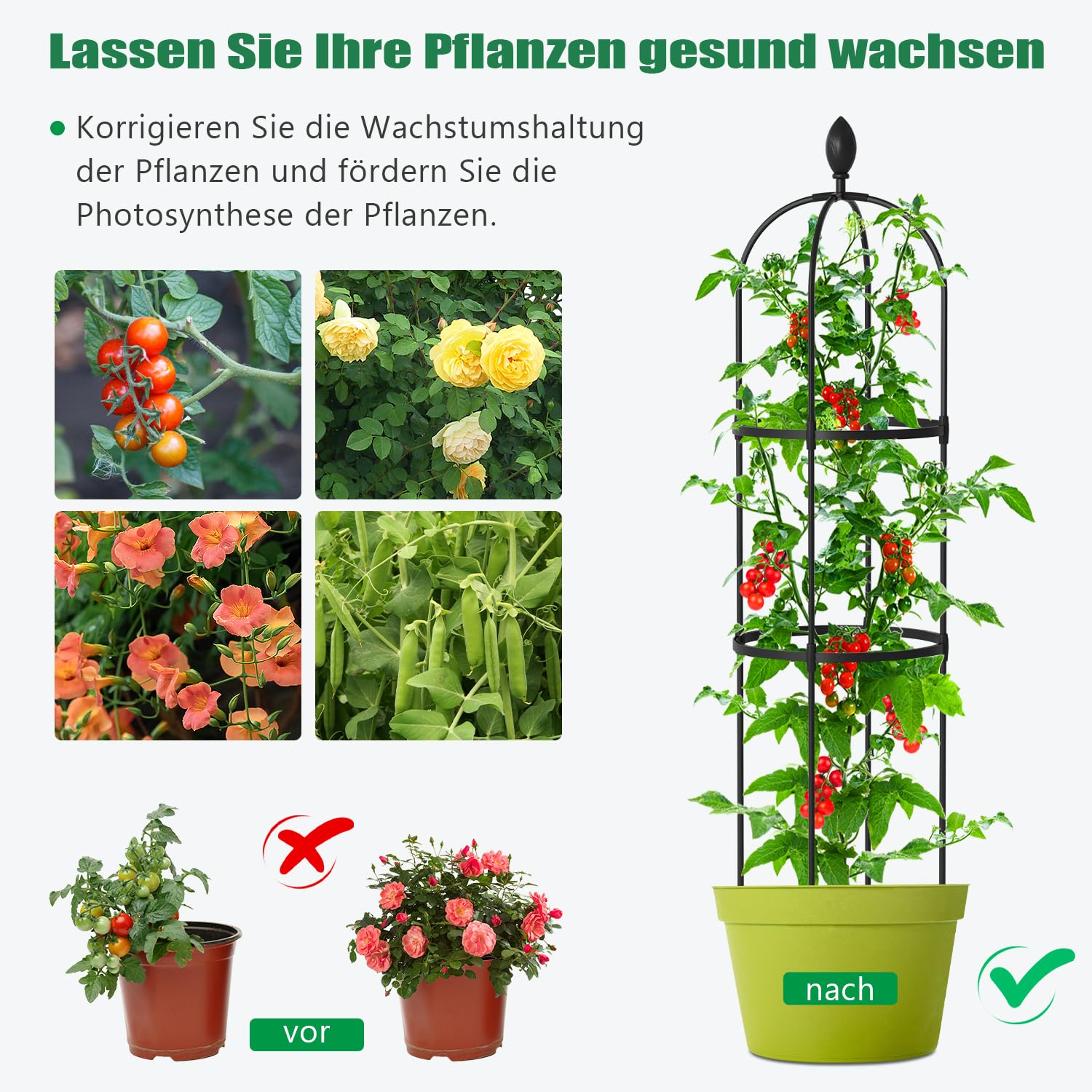 SUNYRISY Rankhilfe Garten Obelisk 3er Set, Rankgitter Käfige für Kletterpflanzen wie Blumen, Tomaten, Rosen usw, Witterungsbeständig Beschichtetes Metall Gartendekoration