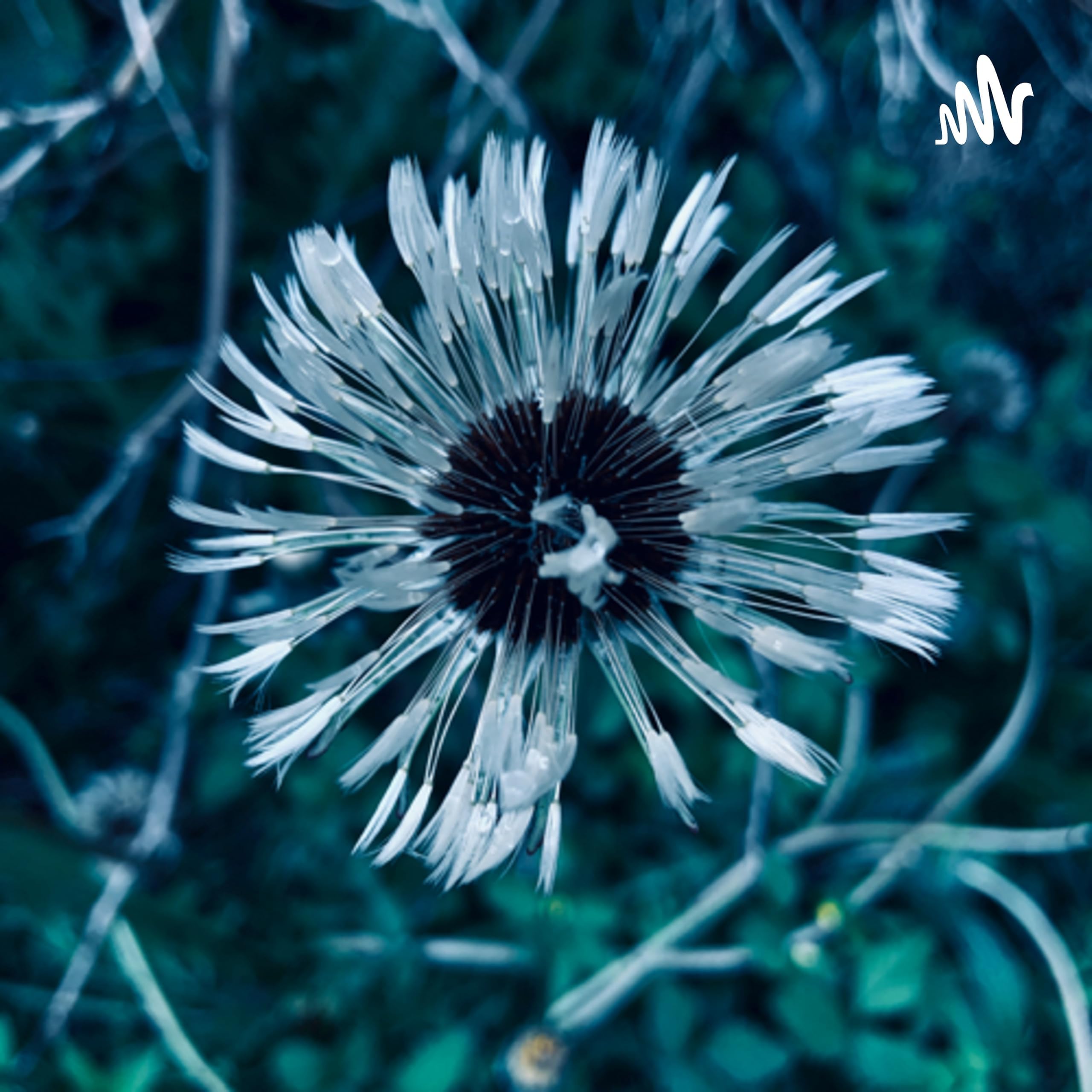 Auntie Bee Says G'night