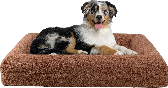 Cama Ortopédica para Perro Mediano con Borde y Funda Lavable