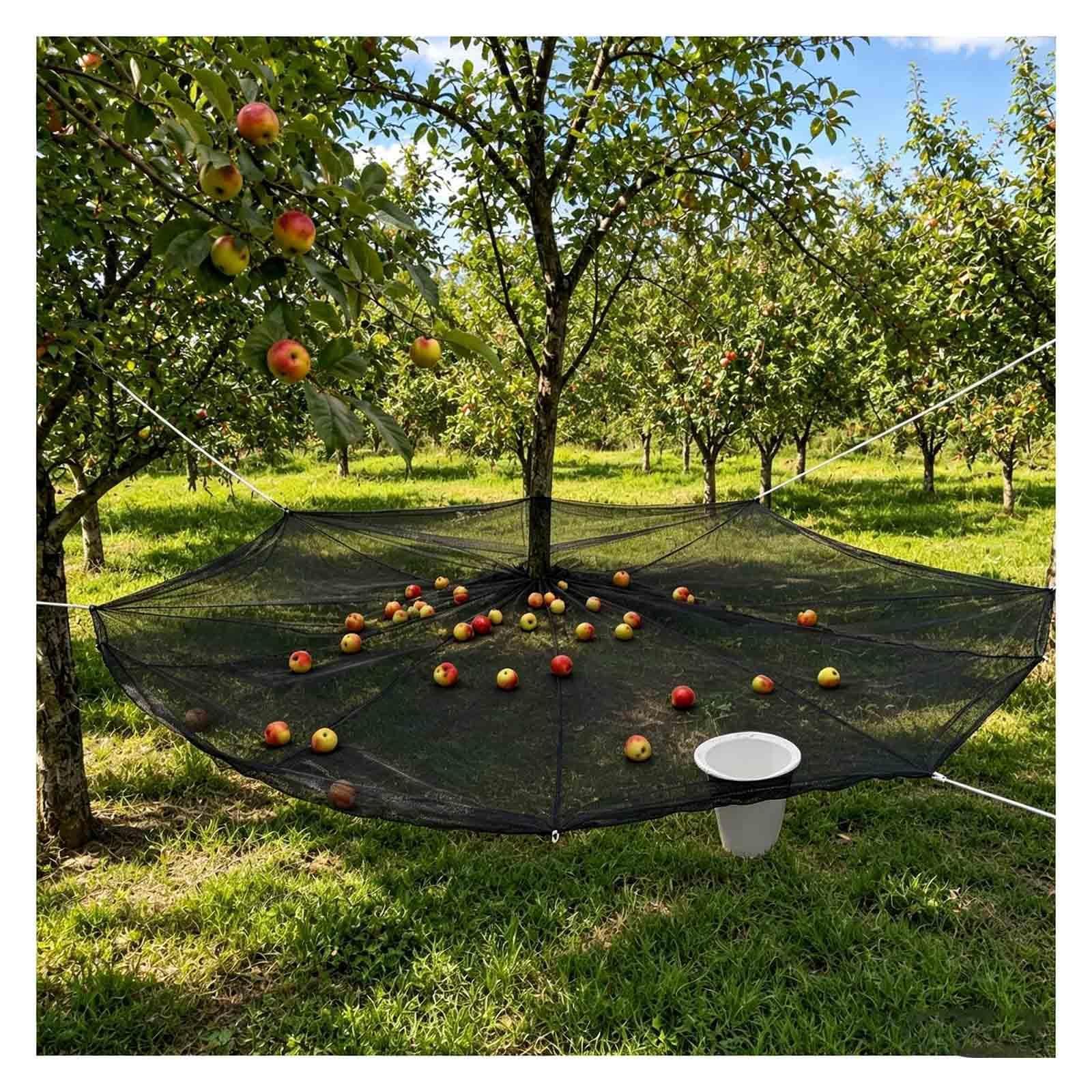 Rongyewxae Fruit Harvesting Net, with Center Opening, Export Hoop Large Fruit Tree Netting Easy Picking Reusable for Yard and Orchard,Round-23×23FT(7×7m)