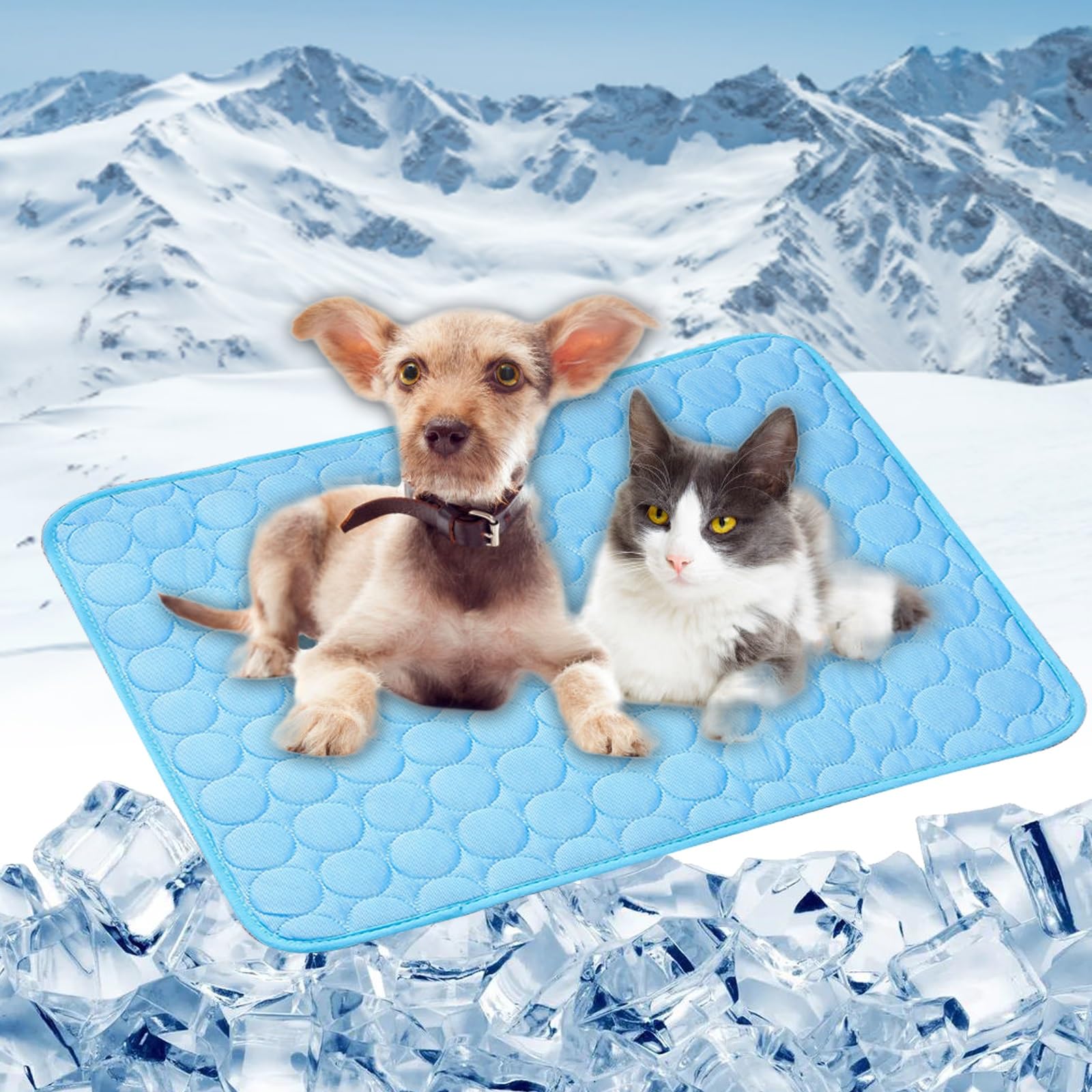 Coussin lavable durable tapis chien LONGCAO bleu soie glacée