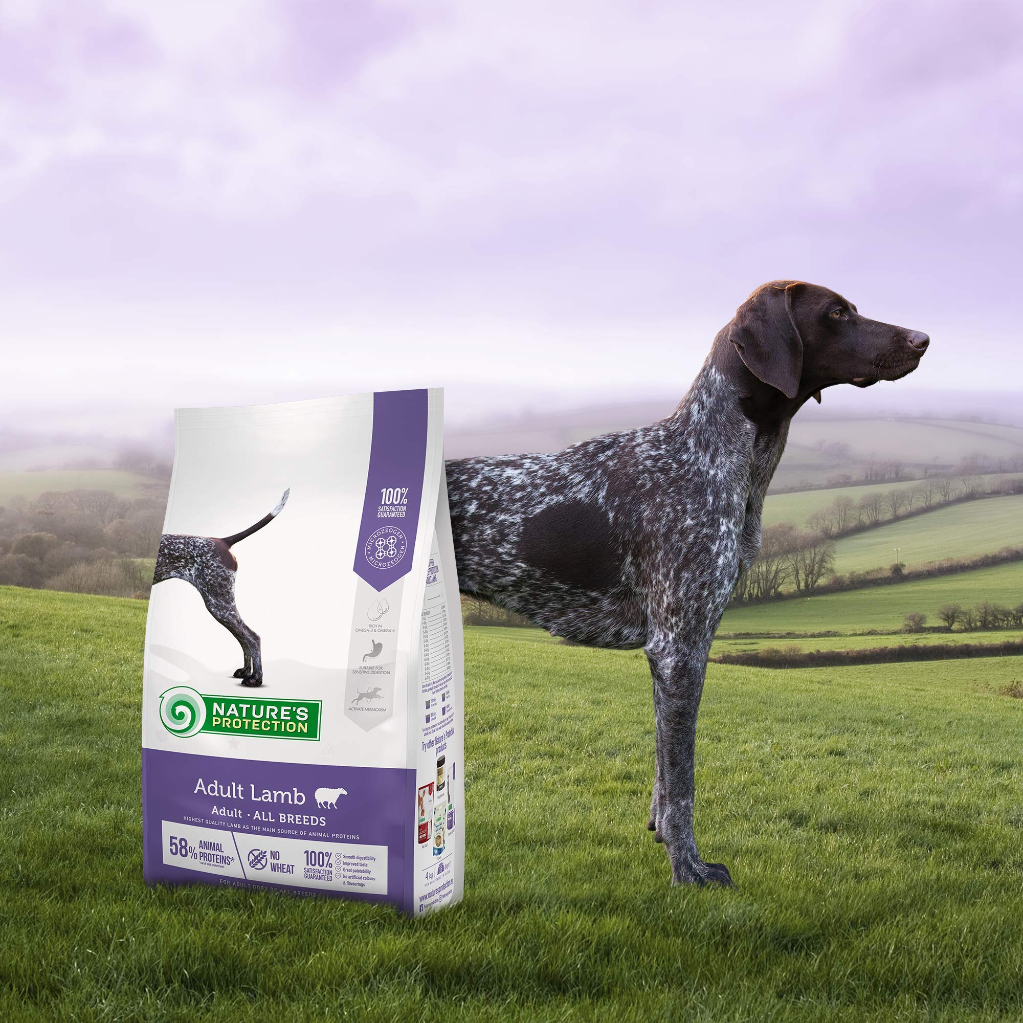 Nature Pienso Para Perros Con Cordero 12 Kg