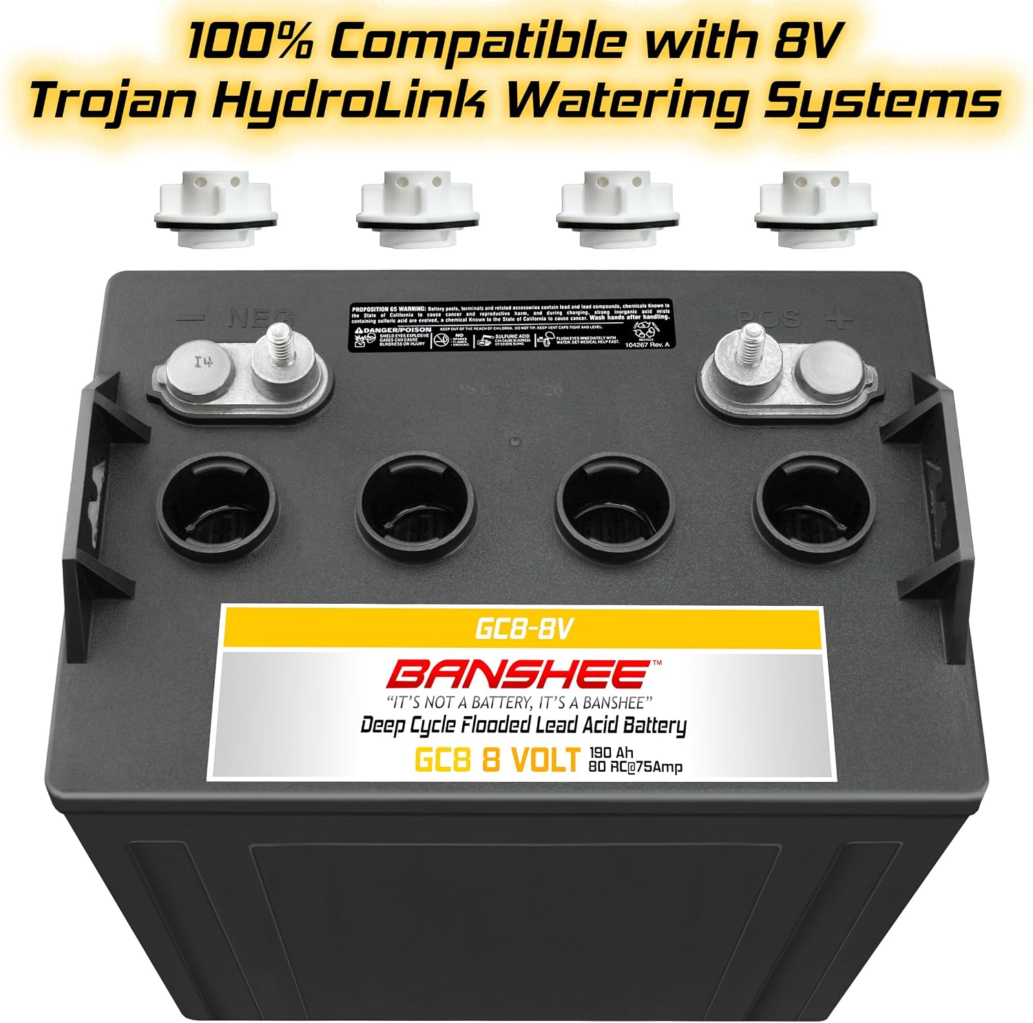 Banshee 6 Pack 48V Combo Heavy Duty 8V Flooded Lead Acid Batteries Compatible with Trojan T875