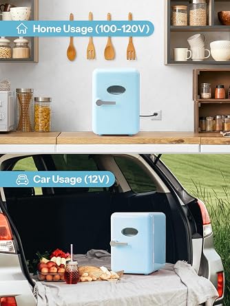 Reemix Mini Fridge, 4L/6 Cans Retro Portable Cooler