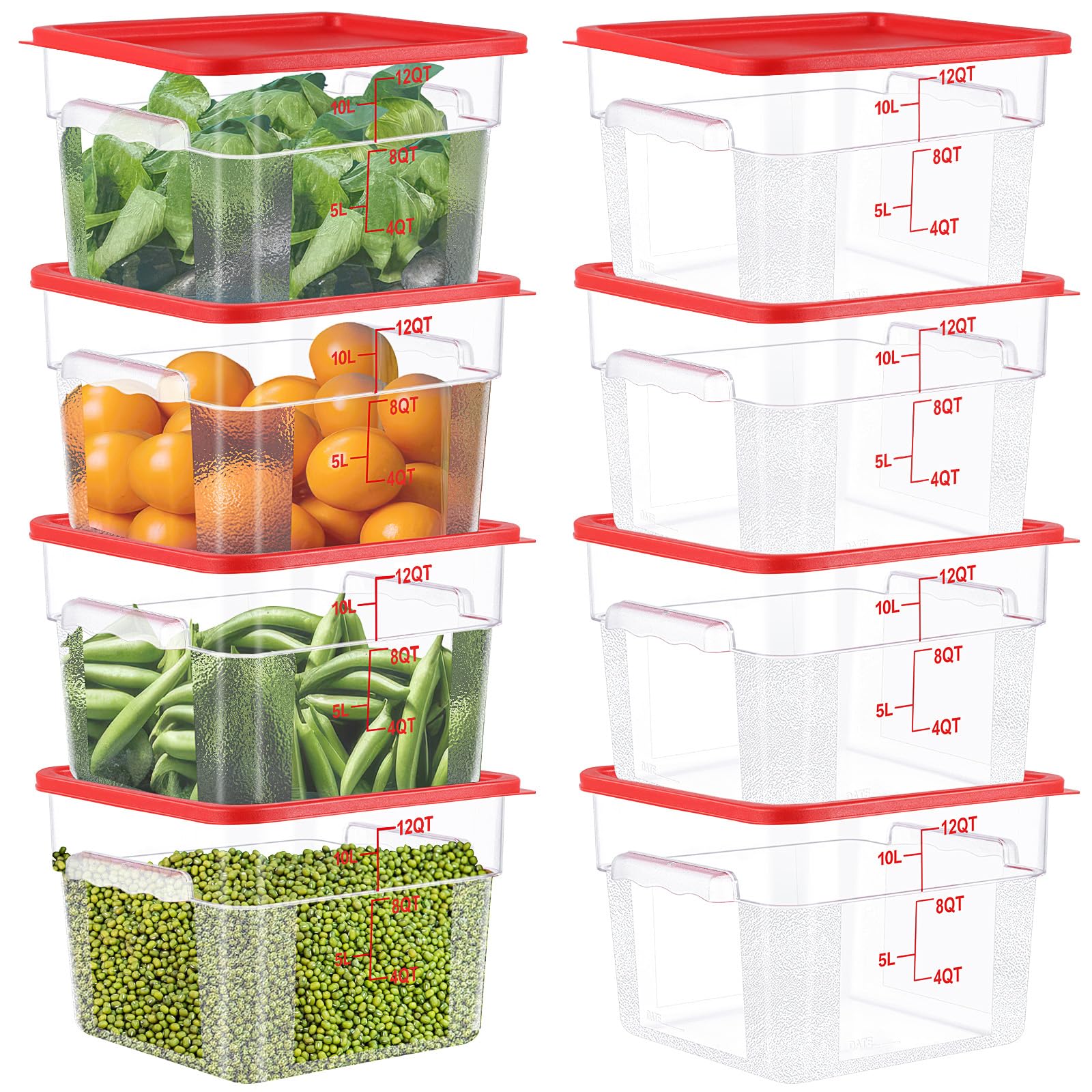 Ziliny 8 Pack Polycarbonate Square Food Storage Container with Red Lids