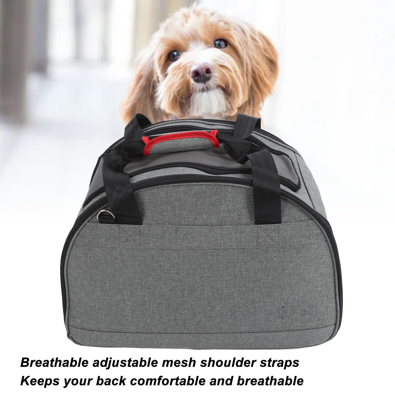 Generic Robuste Transportbox für Haustiere Im Auto mit Atmungsaktivem Netzstoff für den Täglichen Weg Zur Arbeit. Reisetasche aus Oxford-Stoff, 50 X 27 X 32,5 cm