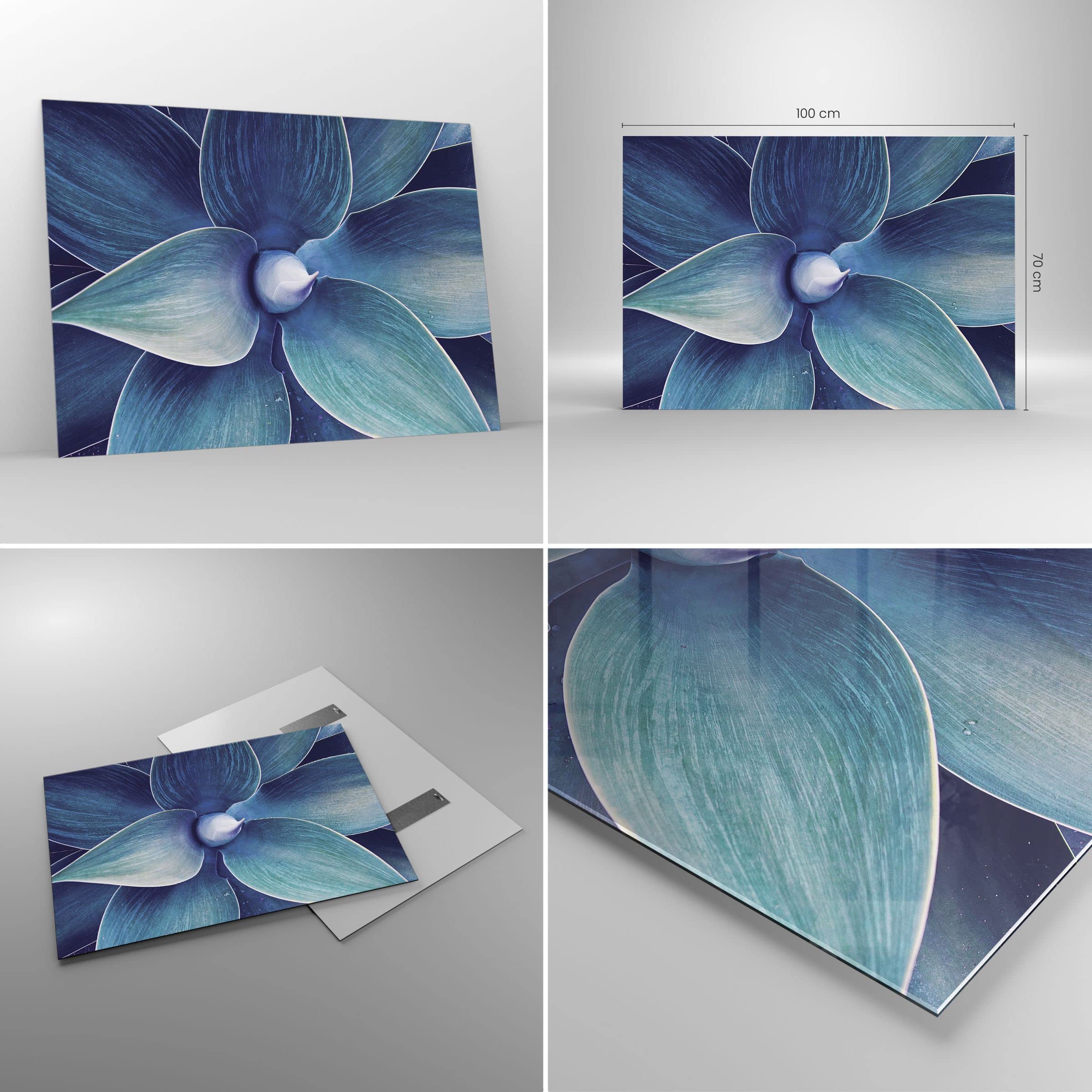 Image sur Toile - Agave Reine Victoria - Impression sur toile Image sur Toile - Agave Reine Victoria - Impression sur toile