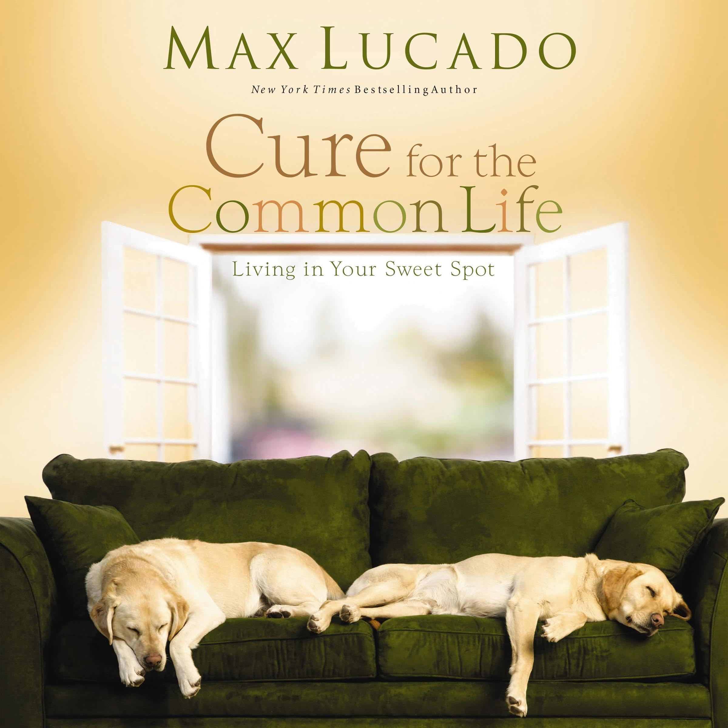 Cover art for Cure for the Common Life