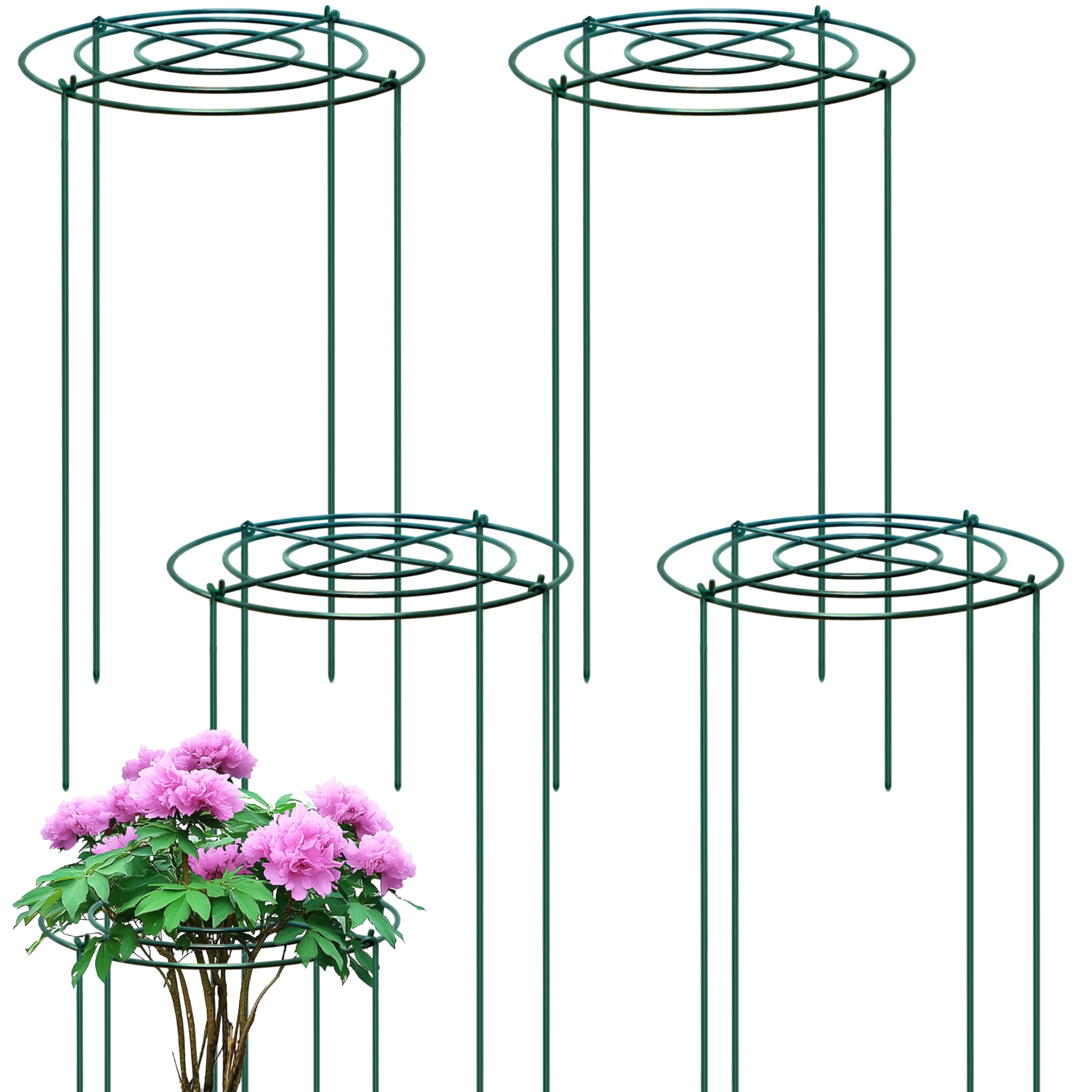 TIKTALK 4 Stück Pfingstrosen Halterung/Pflanzringe Rund (30cm Ø x 60cm H) – Stabile Grüne Metall-Staudenhalter mit 4 Beinen – Pflanzenstützen für Pfingstrose, Rose – Rostfrei & Wetterfest
