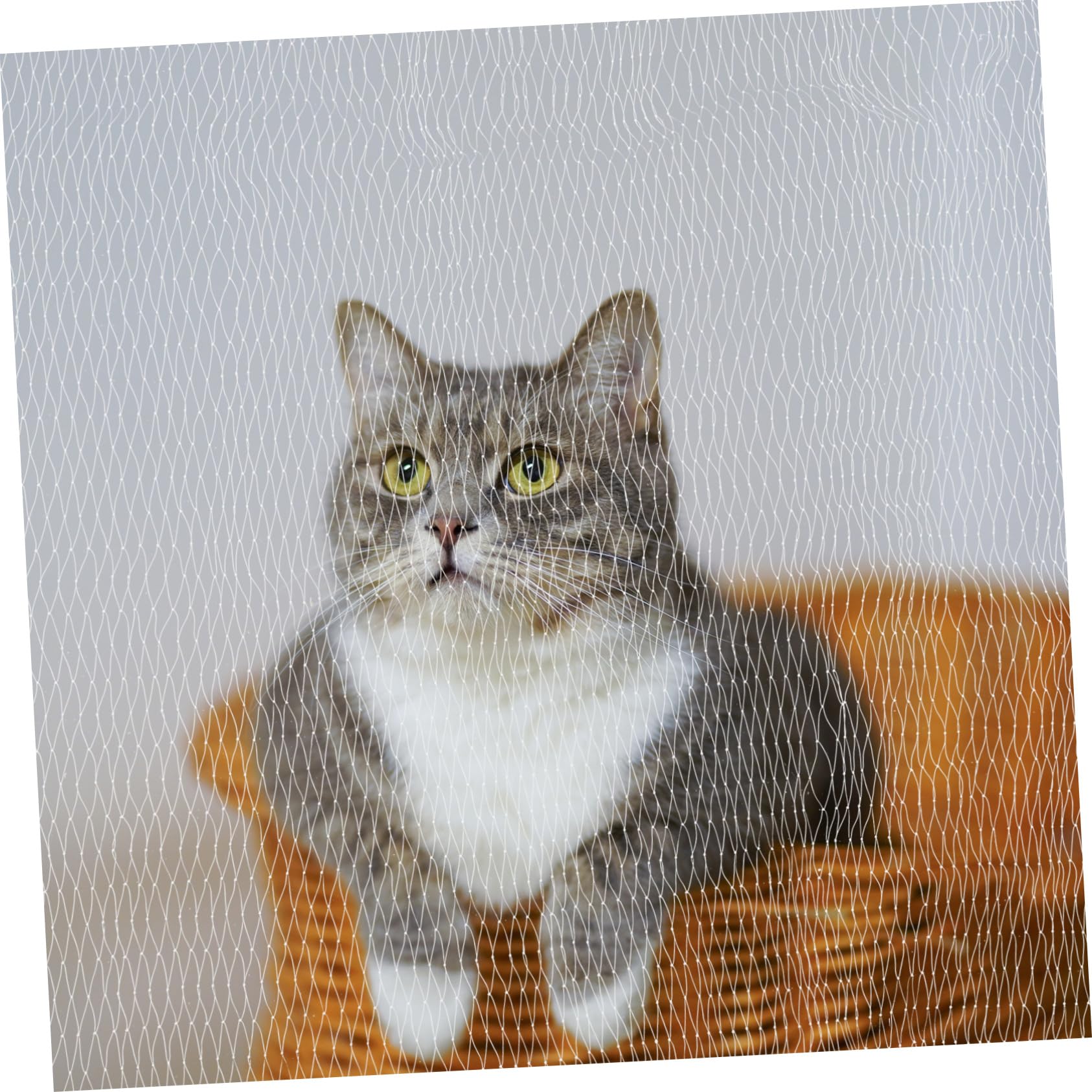 Rete Protezione Gatti Balcone Anti-Caduta in Nylon Bianco | Fitta Maglia, per Balconi e Apertura Stufa, Design Versatile, Rete di Sicurezza per Animali Domestici
