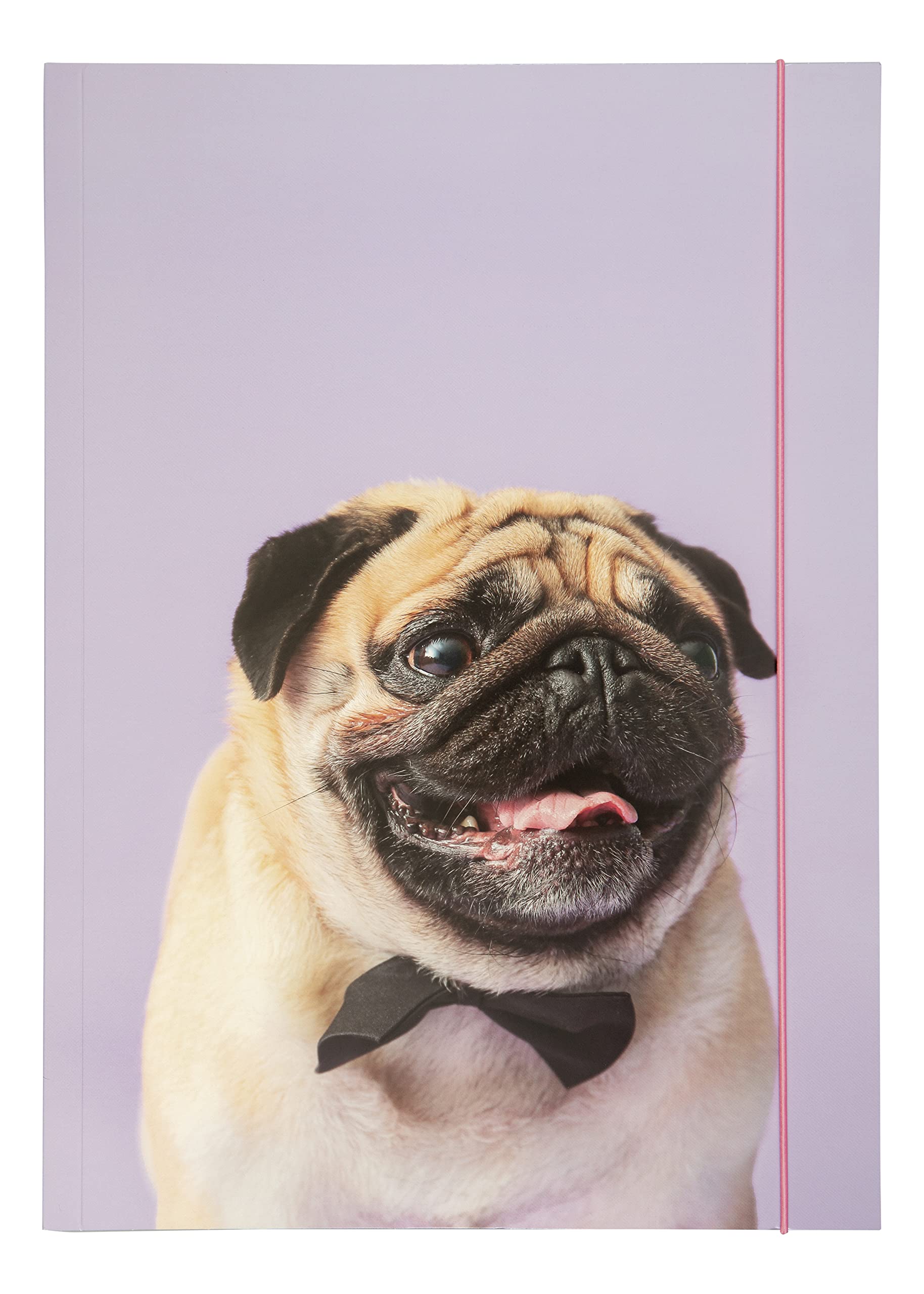 folia 69002 - Portfolio Folder A3 Basic Puggy Love Made of Sturdy Cardboard with Elastic Strap
