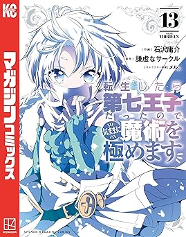 転生したら第七王子だったので、気ままに魔術を極めます(13)