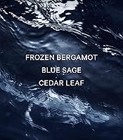 Vista 4 de Victoria's Secret VS Him Deepwater Colonia para hombres (3.4 oz)