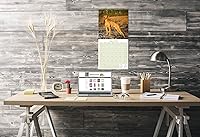 Vista 926 de Razas de Perros 2017