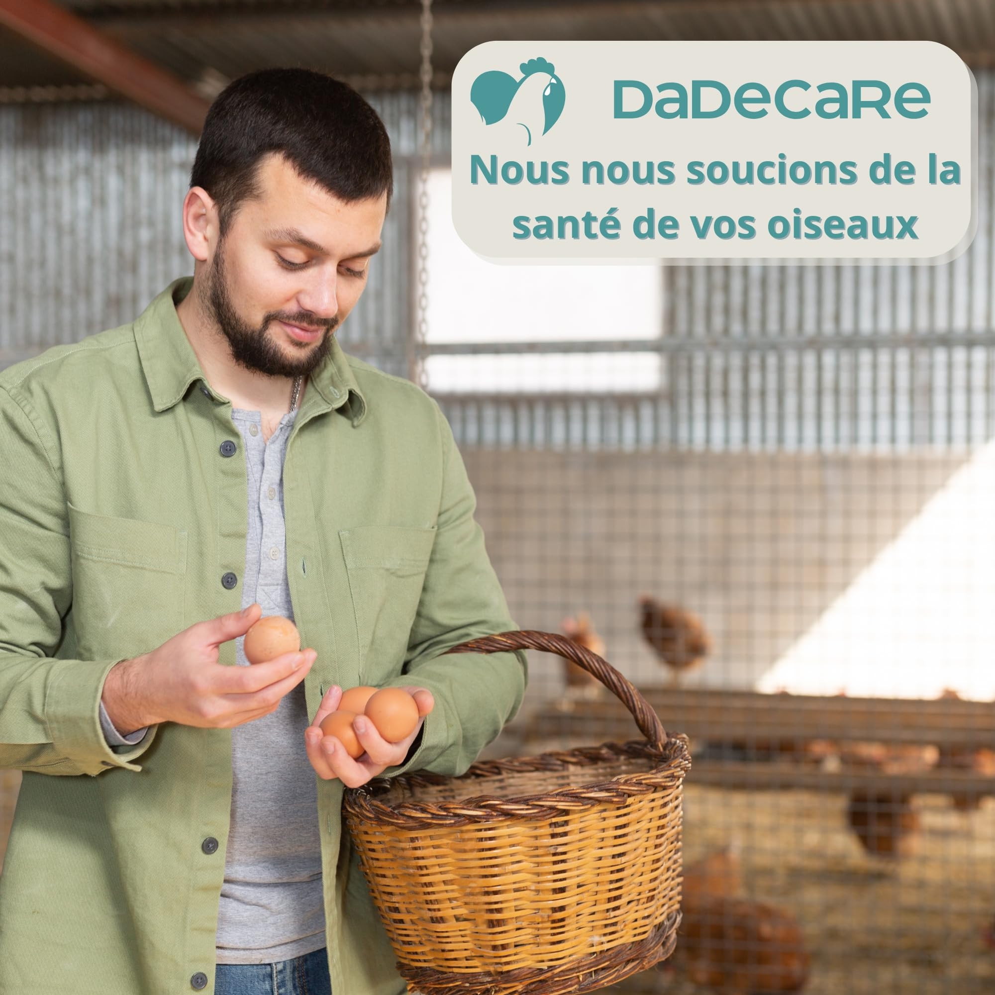 Eggcare Calcium pour Oiseaux 1 l avec minéraux et vitamines – Œufs sains et coquilles résistantes – Fortifie Les os – Convient pour Tous Les stades de développement