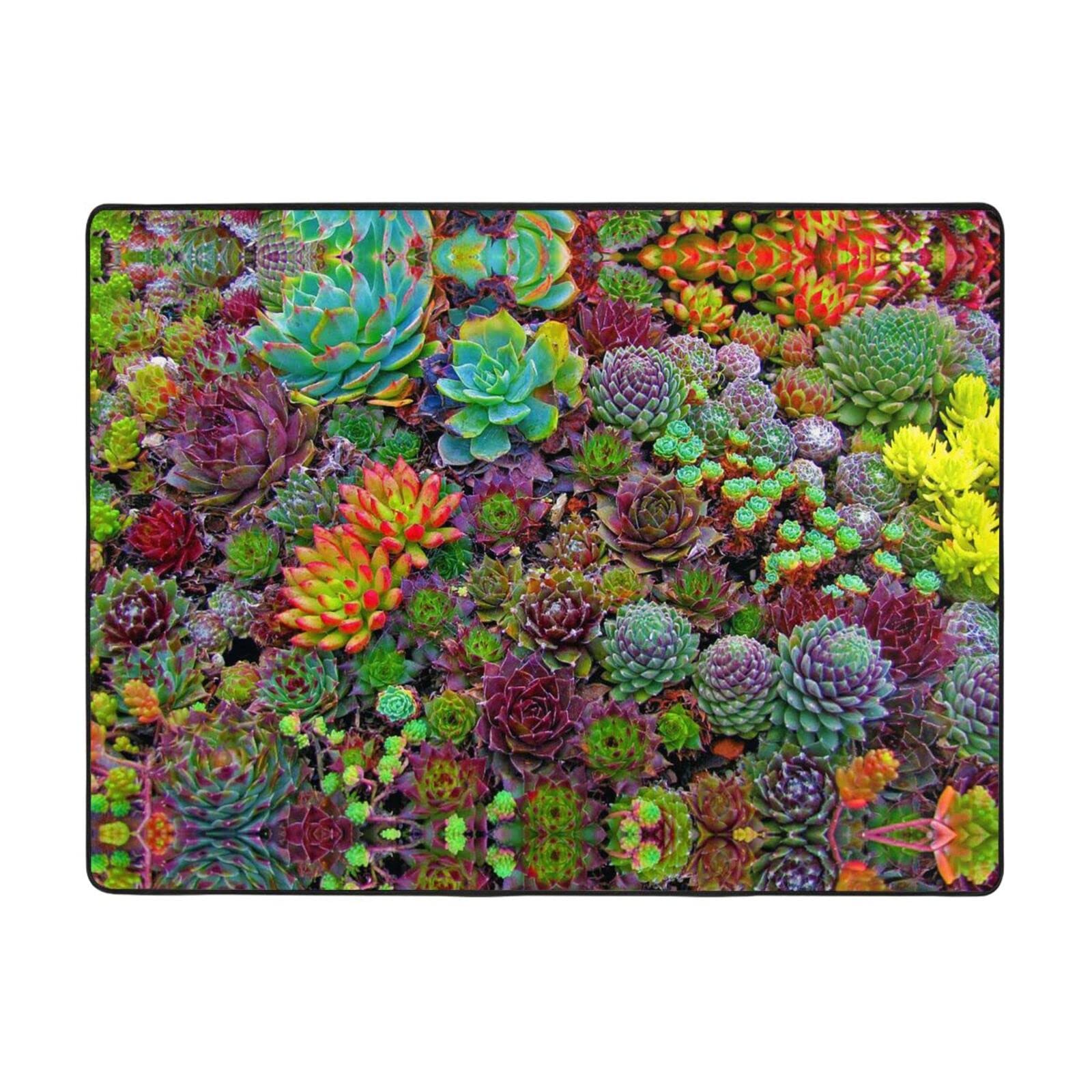 Tapis en flanelle succulente 160x122cm doux et antidérapant pour salon