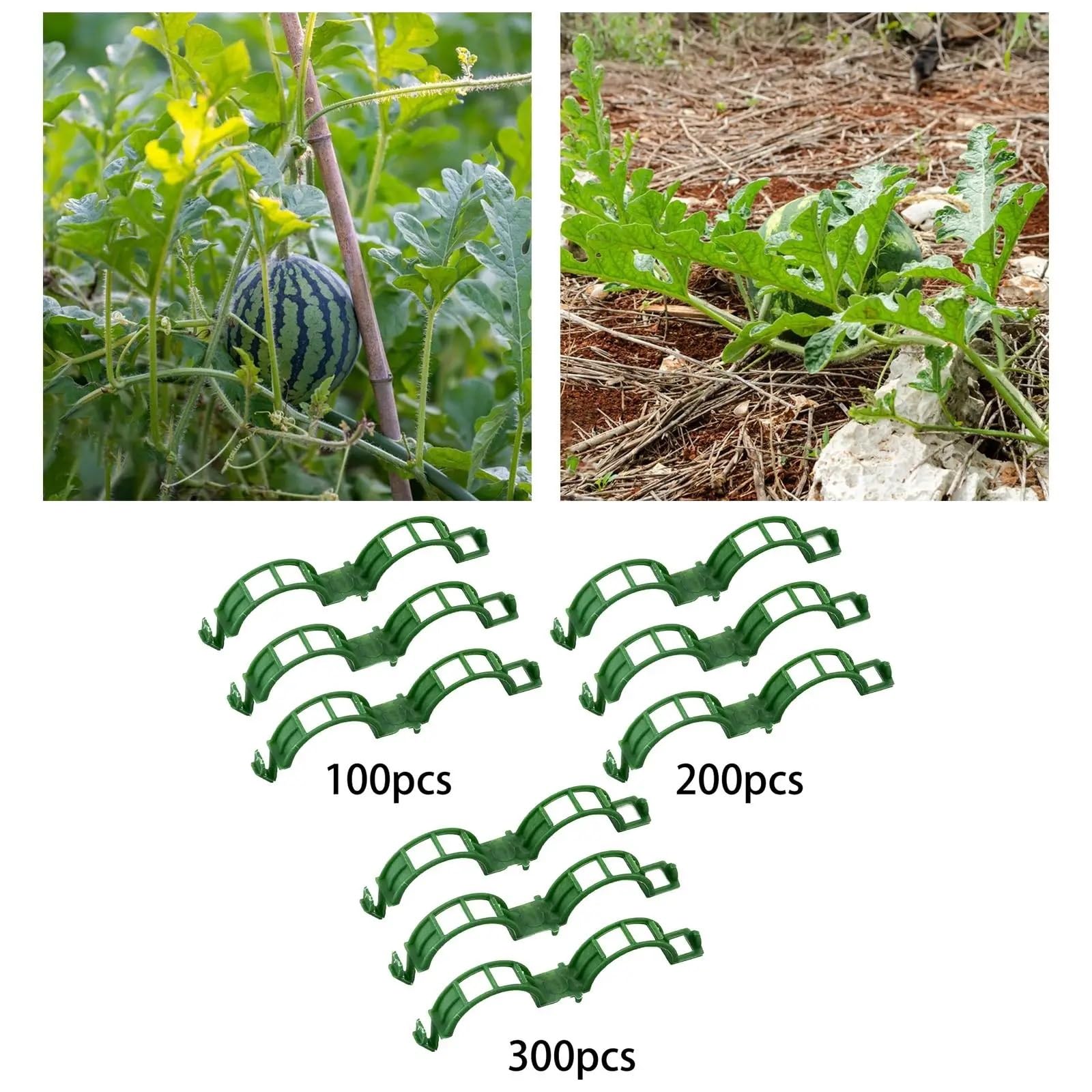 Attaches pour Plantes de Jardin, Clips de Support for Plantes, 100/200/300 pièces, en Plastique réutilisable for tomates et Plantes grimpantes(200pcs)