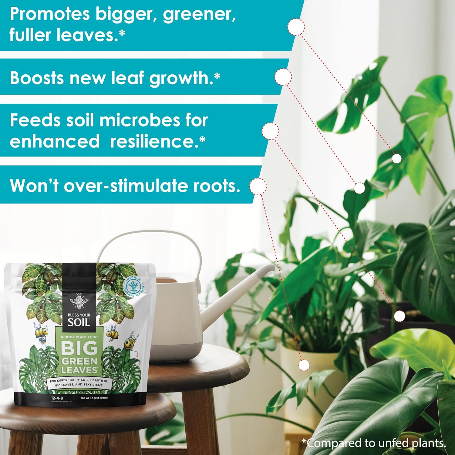 22 Best Indoor Plant Fertilizers Top Picks Of 2022