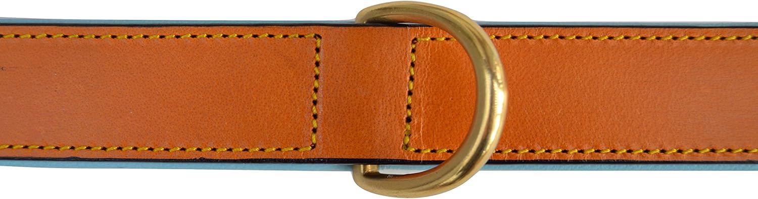 Padded Leather Dog Collar, Tan and Teal, Size Medium, 20" Long x 1" Wide, Neck Size 14.5" to 17.5" Inches Medium Tan/Teal