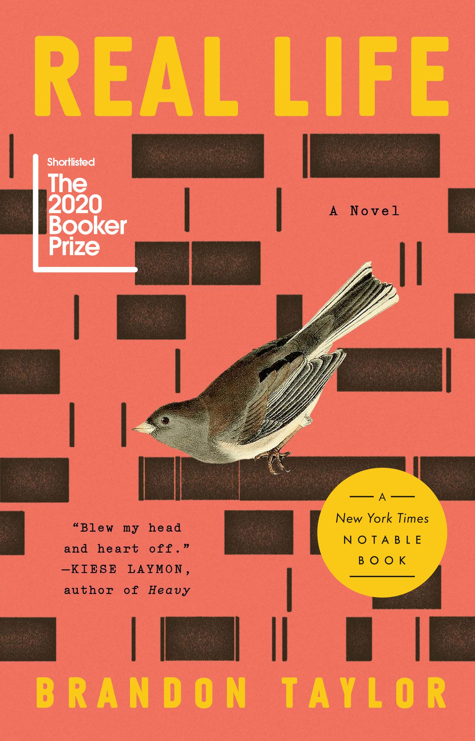 Real Life: A Novel (English Edition)