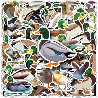 Duck Stickers for Teenagers Adults 50 Pieces Cartoon Green Duck Waterproof Vinyl Sticker Set Car Motorcycles Bicycle Skateboard Snowboard Luggage Laptop Suitcase Helmet Motorcycle Computer