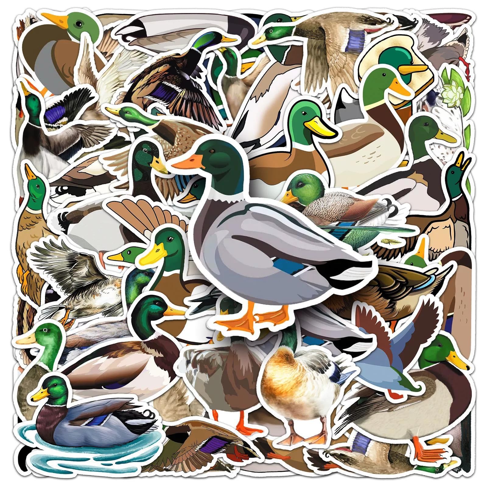Ente Aufkleber für Jugendliche Erwachsene 50 Stück Cartoon Green Duck Wasserfeste Vinyl Sticker Set Auto Motorräder Fahrrad Skateboard Snowboard Gepäck Laptop Koffer Helm Motorrad Computer