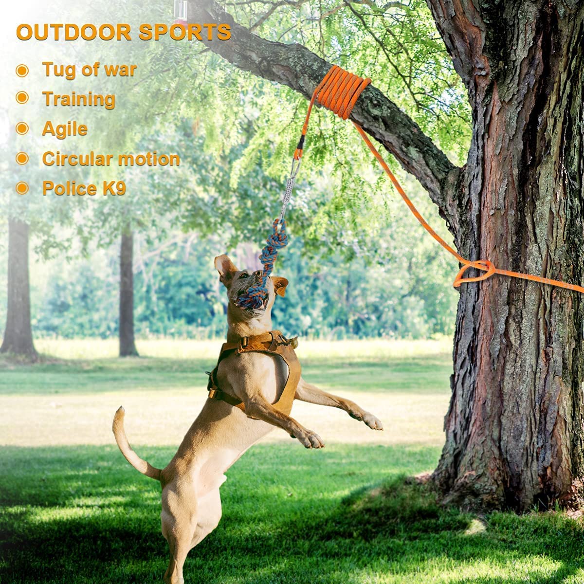 Spring Pole Tug Of War Toys For Large Dogs Tether Tug Toy Tether Tug  Outdoor Dog