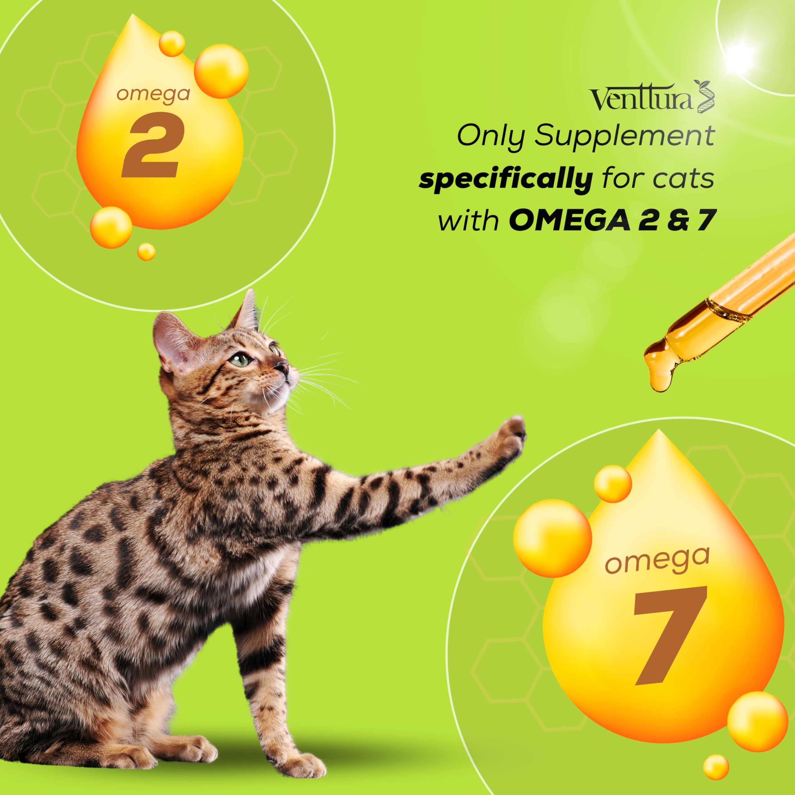 Venttura Petraceuticals Omega Cat Supplement 2