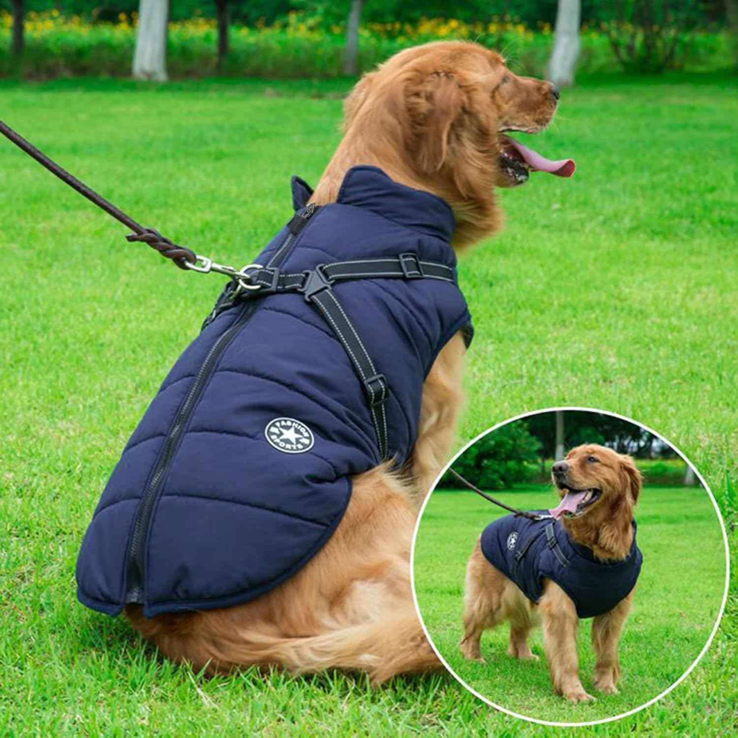 Aiboria Dog Jackets for Winter Windproof Waterproof 2 in 1 Outfit Cold Weather Coat Dog Vest Harness Puppy Winter Warm Jacket Small Blue L - Image 7